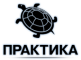 Практика , НПО