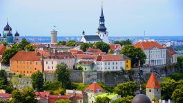 Украинским заробитчанам грозит депортация из Эстонии: названа причина Украинским заробитчанам грозит депортация из Эстонии: названа причина