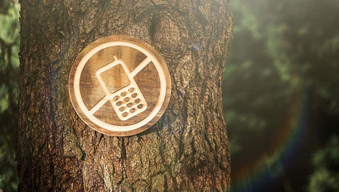Статьи - Digital detox: чому потрібно відпочивати від інтернету?